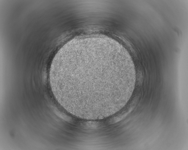 X0000110760261200907271150
