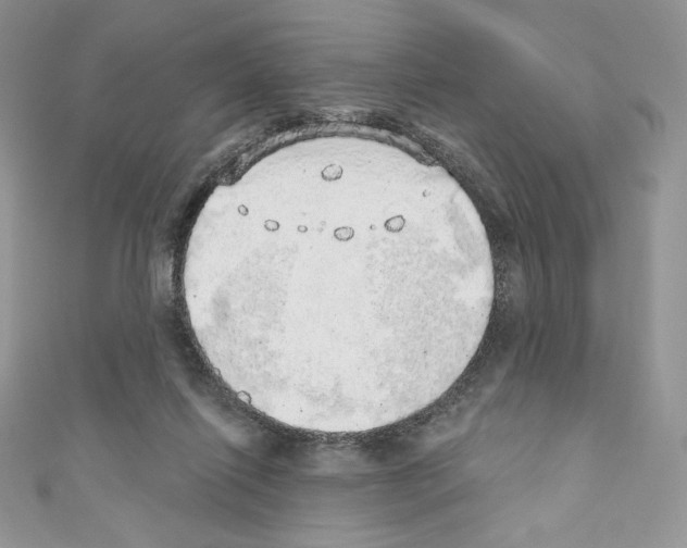 X0000110760262200907271150
