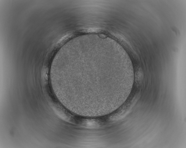 X0000110760264200907271150