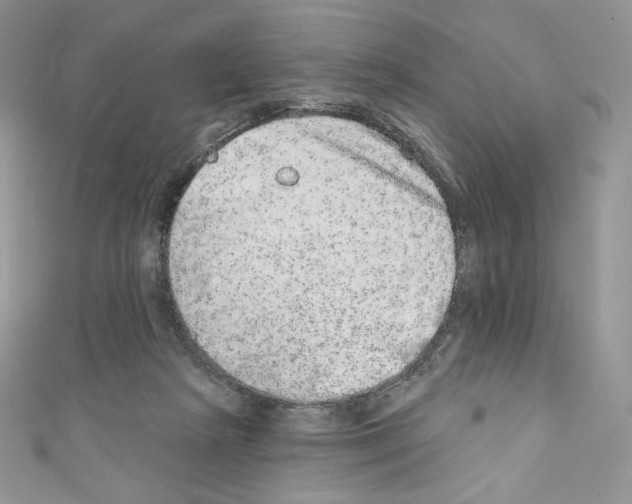 X0000110760265200907271150