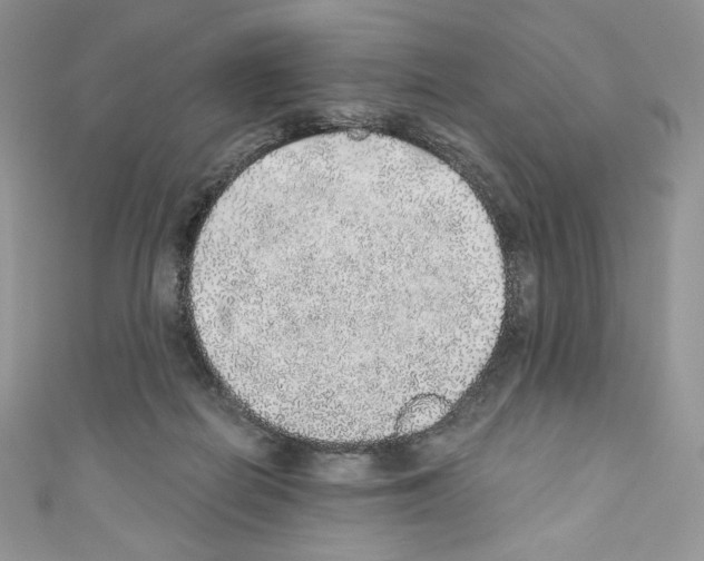 X0000110760266200907271150