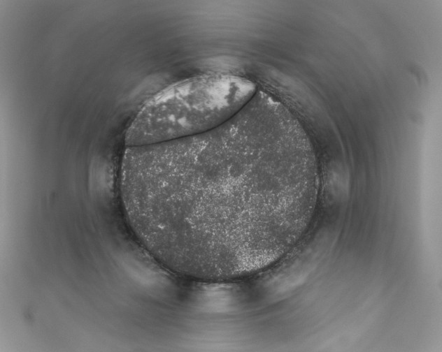 X0000110760268200907271150