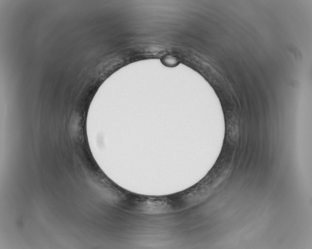 X0000110760270200907271150