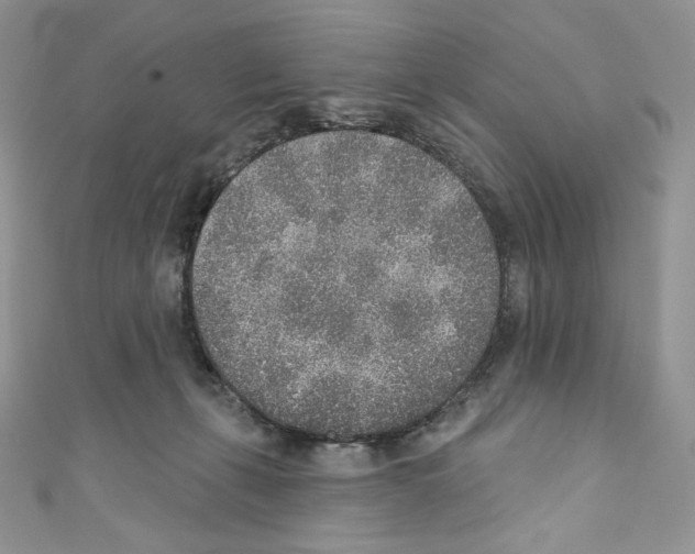 X0000110760271200907271150