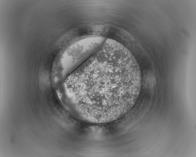 X0000110760272200907271150