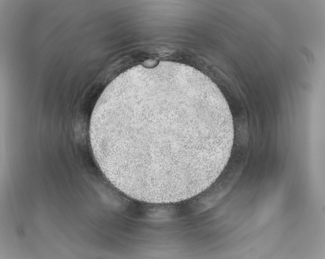 X0000110760274200907271150
