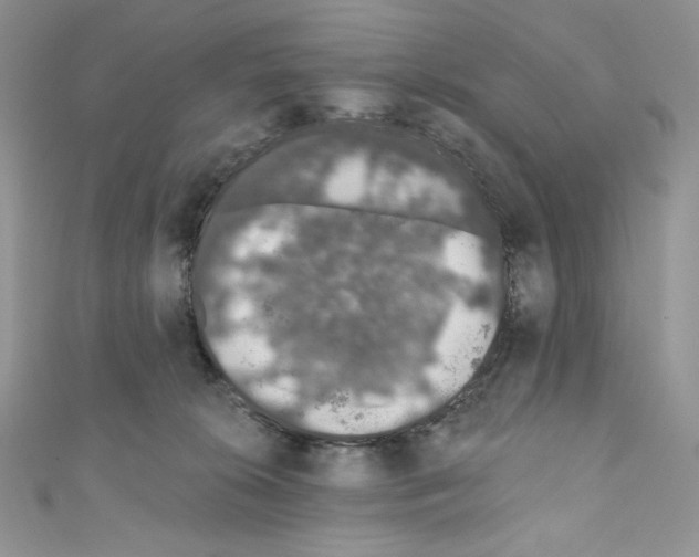 X0000110760276200907271150