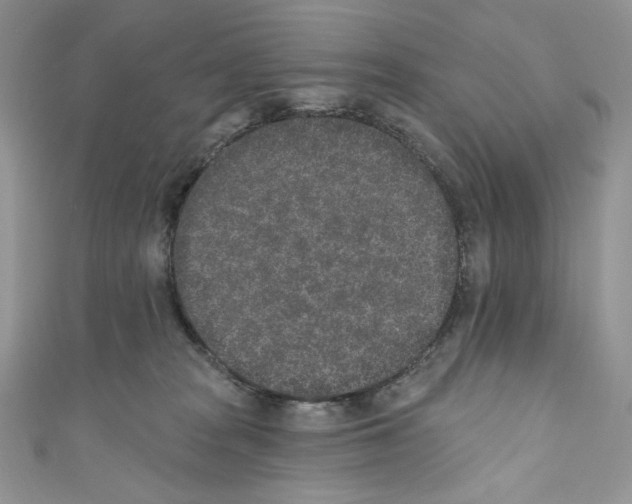 X0000110760277200907271150