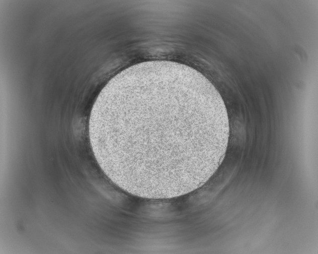 X0000110760278200907271150