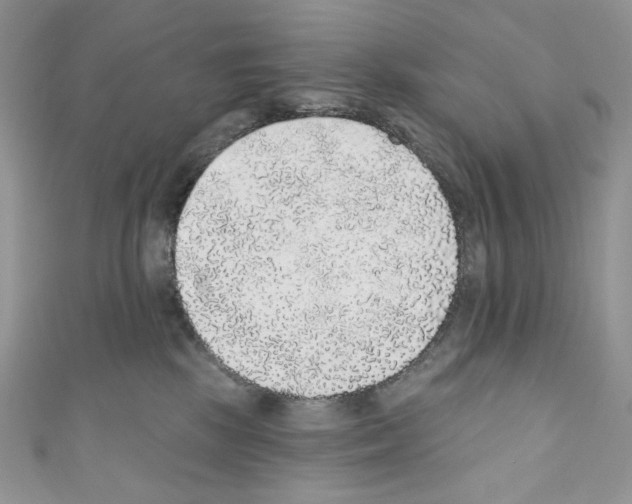 X0000110760281200907271150