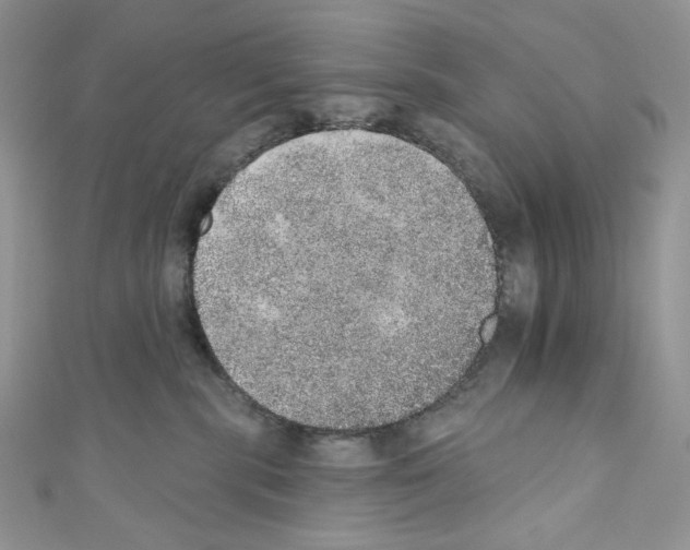 X0000110760283200907271150