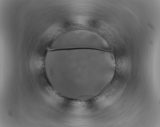 X0000110760284200907271150