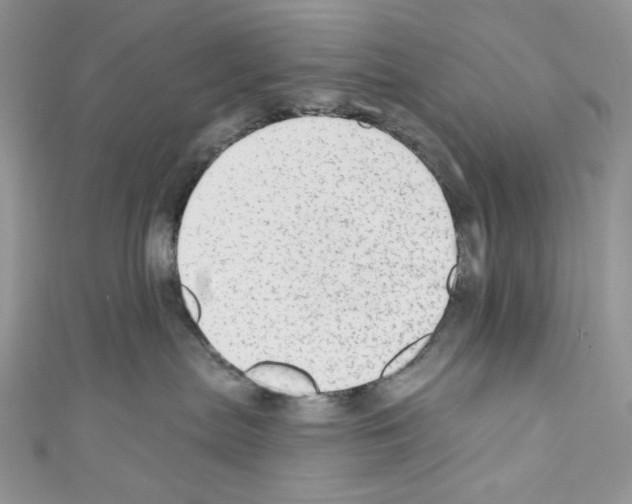 X0000110760287200907271150