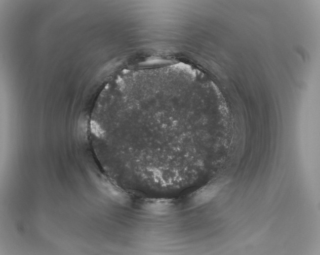X0000110760288200907271150
