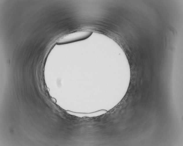 X0000110760289200907271149