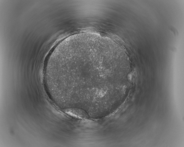 X0000110760290200907271149