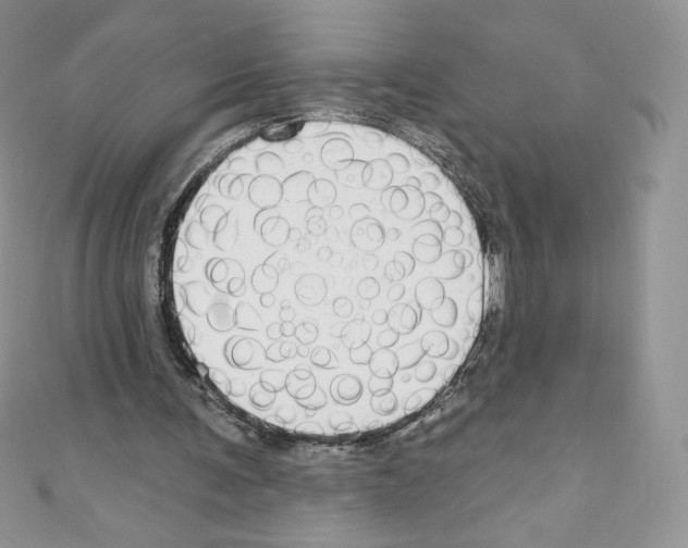 X0000110760291200907271149