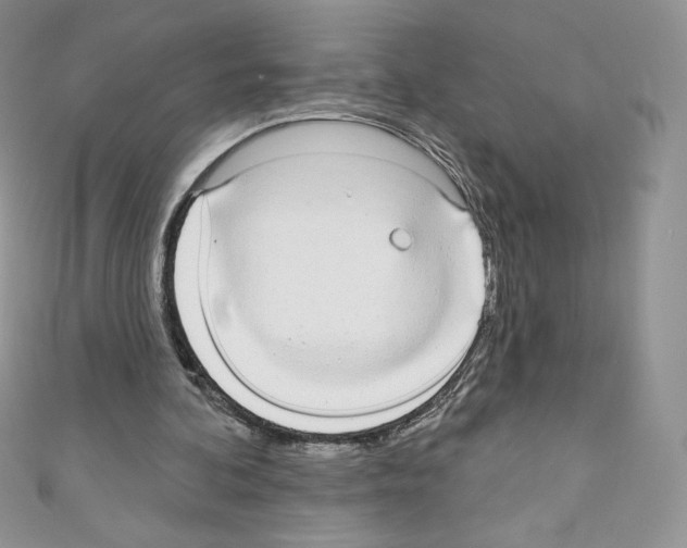 X0000110760292200907271149