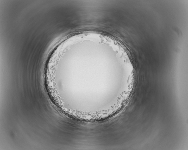 X0000110760293200907271149