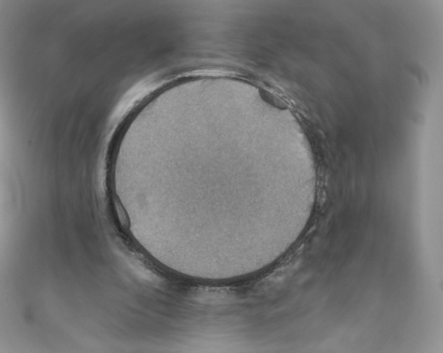 X0000110760296200907271149