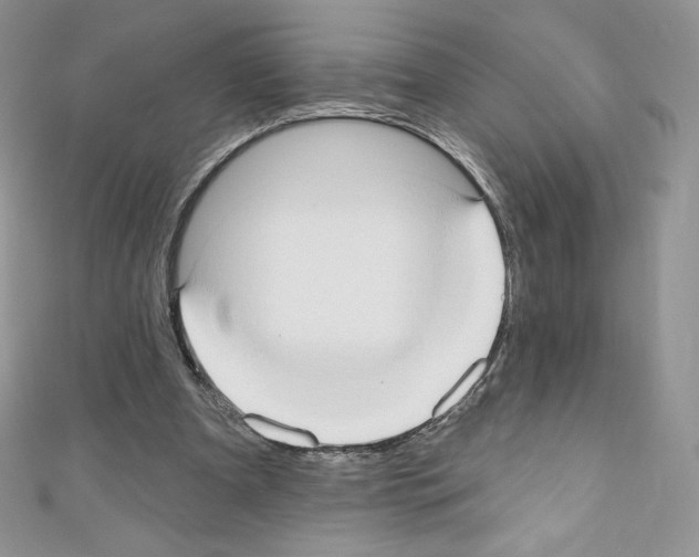 X0000110760297200907271149