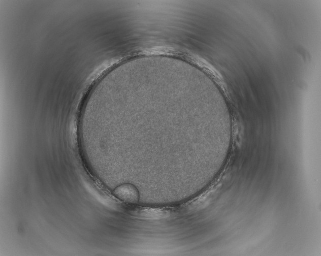 X0000110760298200907271149