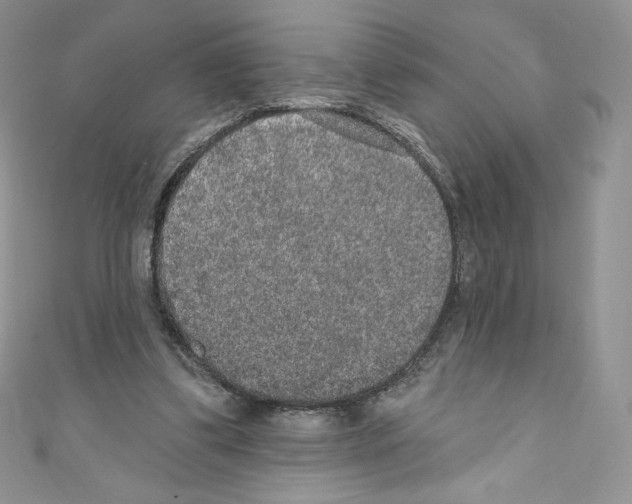 X0000110760299200907271149