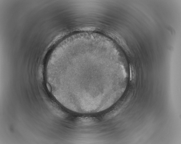 X0000110760300200907271149