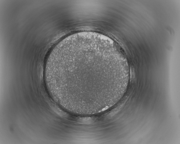 X0000110760301200907271149