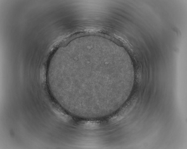 X0000110760303200907271149