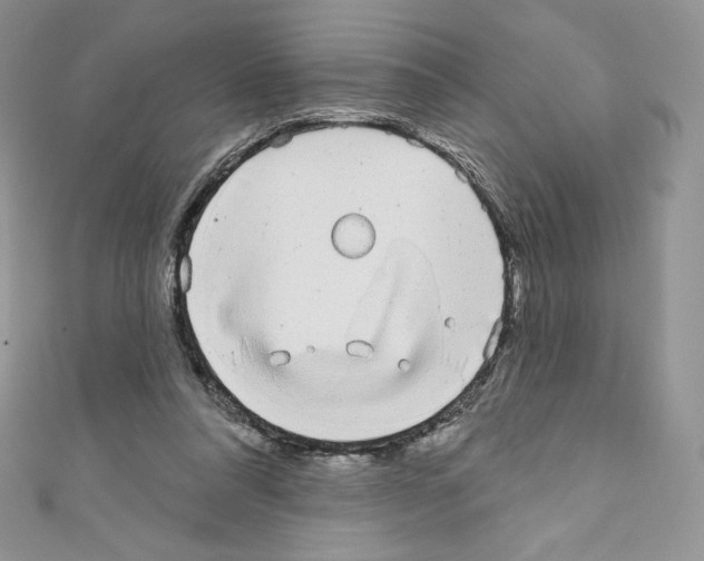 X0000110760304200907271149