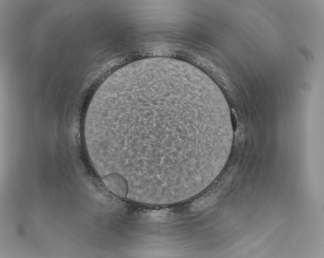 X0000110760306200907271149