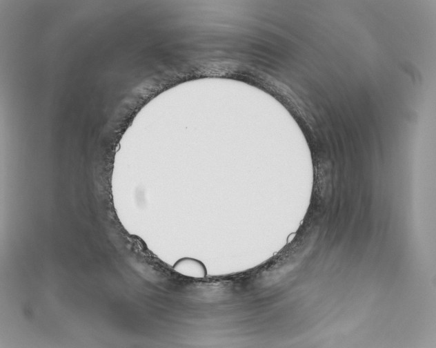 X0000110760307200907271149