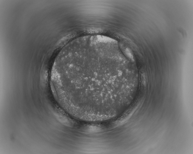 X0000110760308200907271149