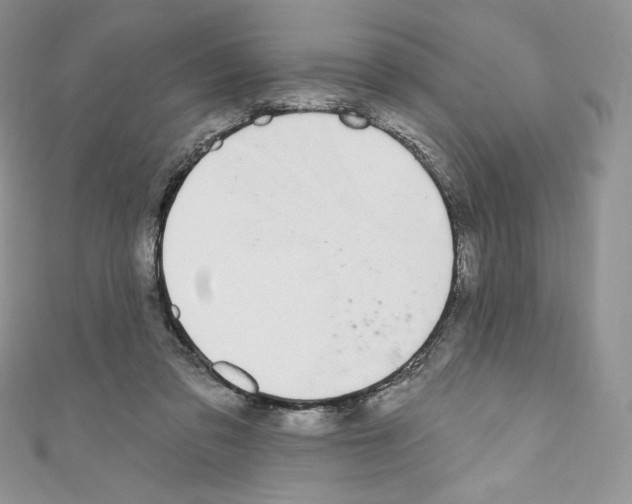X0000110760309200907271149