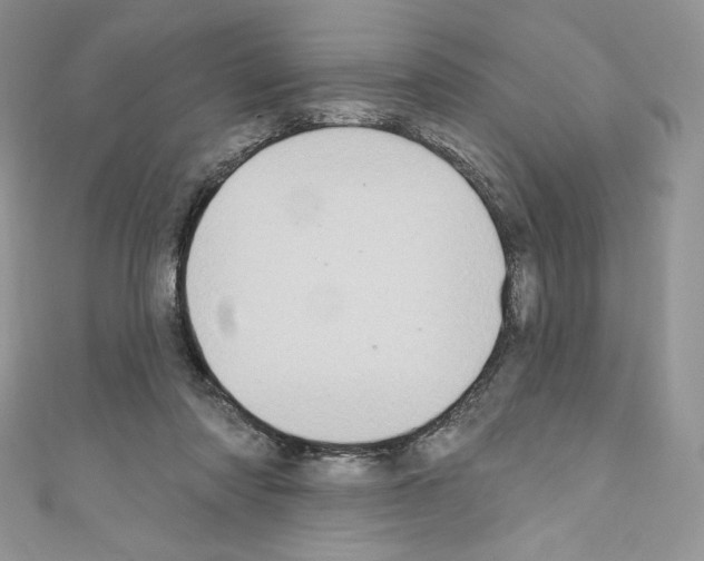 X0000110760310200907271149