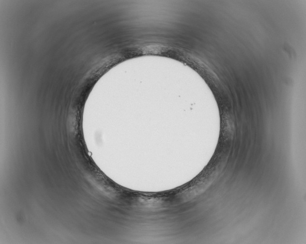 X0000110760311200907271149