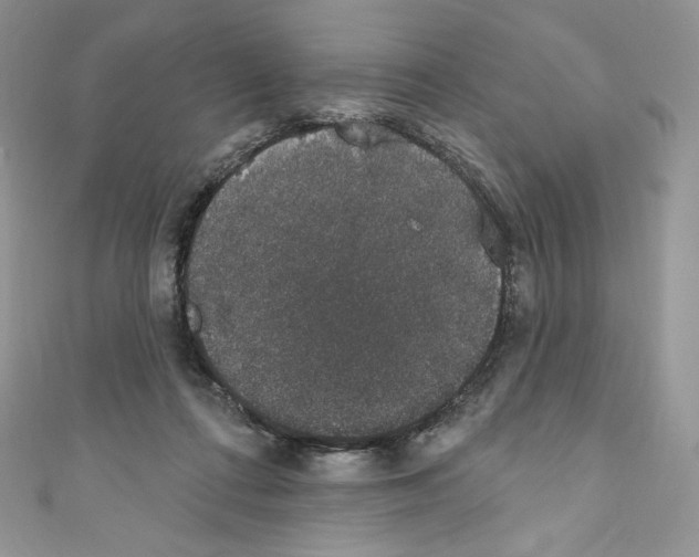 X0000110760312200907271149