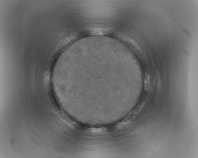 X0000110760314200907271149