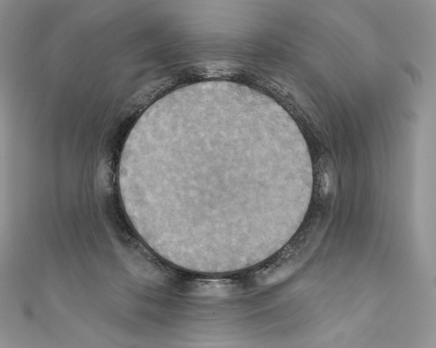 X0000110760316200907271149