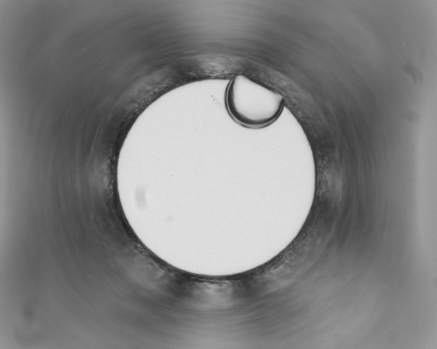 X0000110760317200907271149