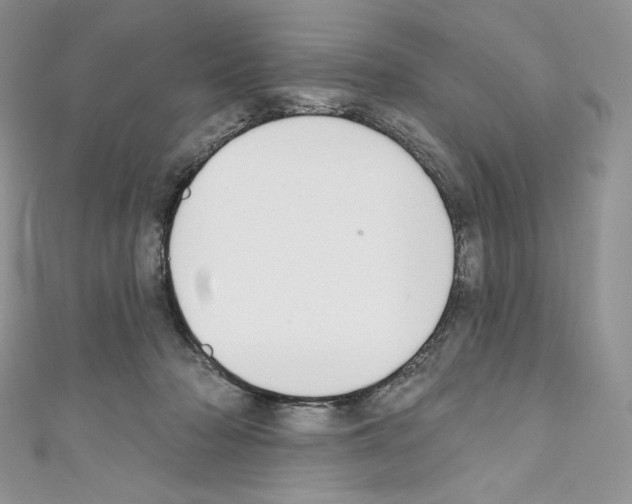X0000110760318200907271149