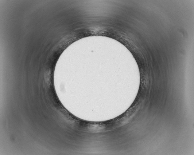 X0000110760319200907271149