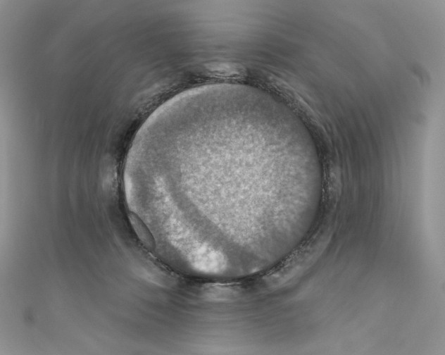 X0000110760320200907271149