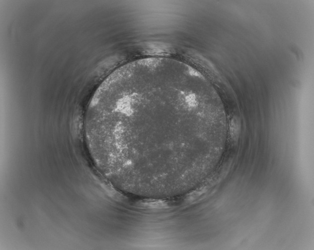 X0000110760322200907271149