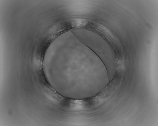 X0000110760324200907271149