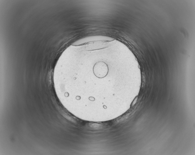 X0000110760325200907271149
