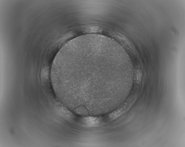 X0000110760326200907271149
