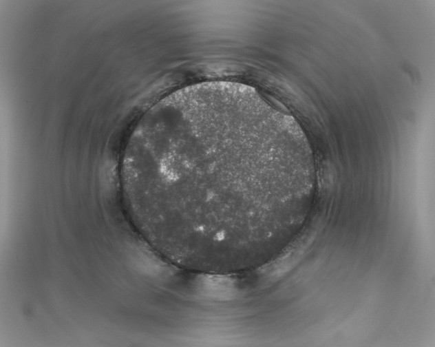 X0000110760327200907271149