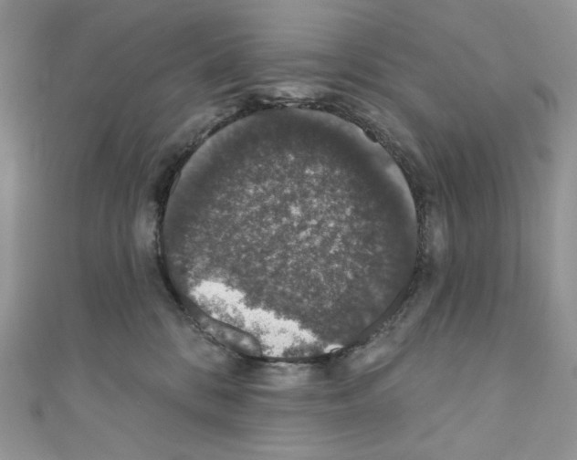 X0000110760328200907271149
